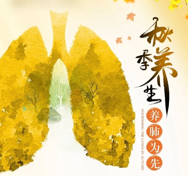 秋燥袭眼、目赤如霞？中医看看是怎么回事